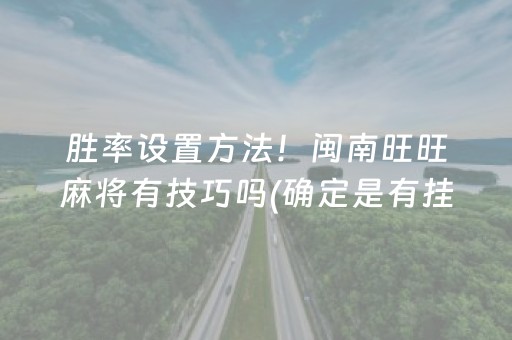 胜率设置方法！闽南旺旺麻将有技巧吗(确定是有挂)