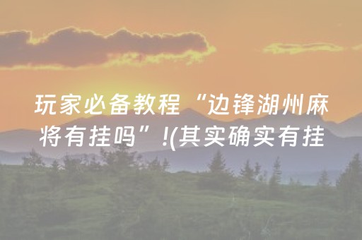 玩家必备教程“边锋湖州麻将有挂吗”!(其实确实有挂)-知乎