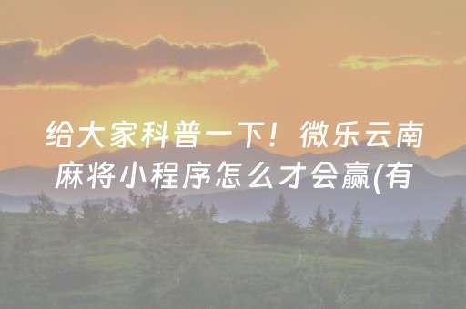 给大家科普一下！微乐云南麻将小程序怎么才会赢(有挂技巧辅助器)