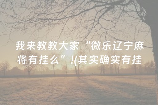 我来教教大家“微乐辽宁麻将有挂么”!(其实确实有挂)-知乎