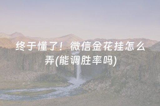 终于懂了！微信金花挂怎么弄(能调胜率吗)