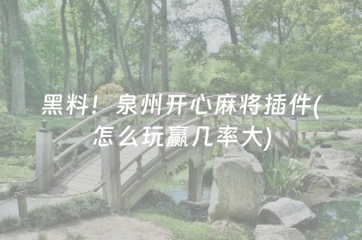 黑料！泉州开心麻将插件(怎么玩赢几率大)