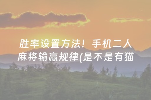 胜率设置方法！手机二人麻将输赢规律(是不是有猫腻)