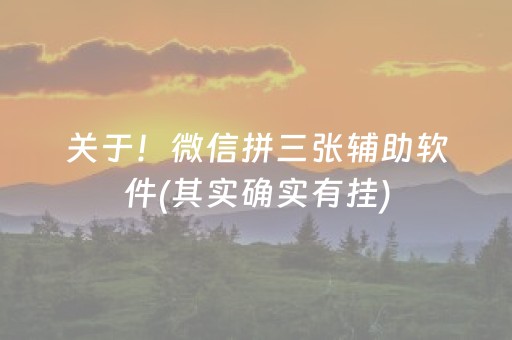 关于！微信拼三张辅助软件(其实确实有挂)