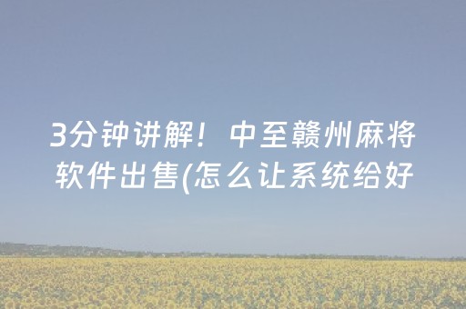3分钟讲解！中至赣州麻将软件出售(怎么让系统给好牌)