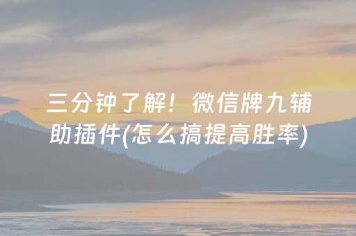 三分钟了解！微信牌九辅助插件(怎么搞提高胜率)