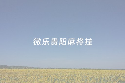 微乐贵阳麻将挂（贵阳微乐麻将）
