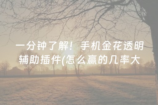 一分钟了解！手机金花透明辅助插件(怎么赢的几率大)