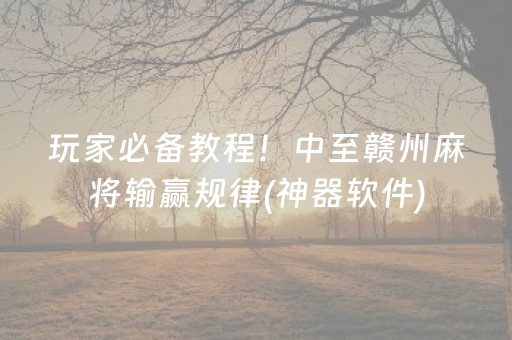 玩家必备教程！中至赣州麻将输赢规律(神器软件)