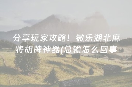 分享玩家攻略！微乐湖北麻将胡牌神器(总输怎么回事)
