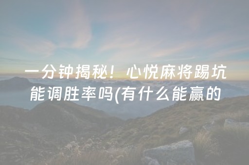 一分钟揭秘！心悦麻将踢坑能调胜率吗(有什么能赢的方法)