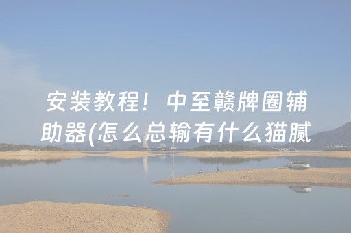 安装教程！中至赣牌圈辅助器(怎么总输有什么猫腻)