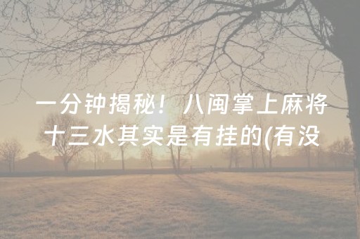 一分钟揭秘！八闽掌上麻将十三水其实是有挂的(有没有猫腻)