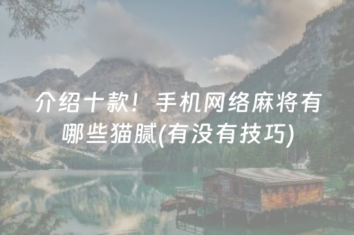 介绍十款！手机网络麻将有哪些猫腻(有没有技巧)