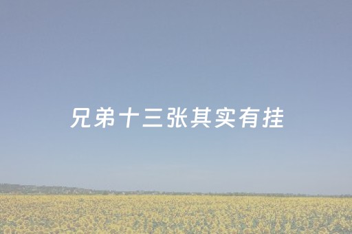 兄弟十三张其实有挂（十三兄弟是什么电视剧）