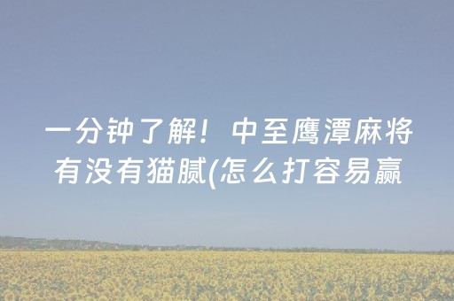 一分钟了解！中至鹰潭麻将有没有猫腻(怎么打容易赢)
