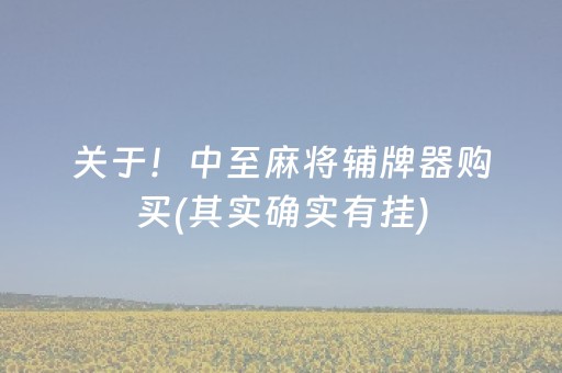 关于！中至麻将辅牌器购买(其实确实有挂)