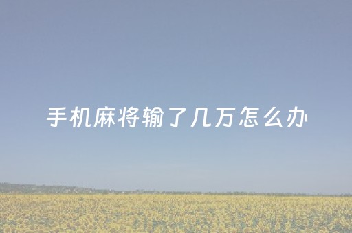 手机麻将输了几万怎么办（手机麻将输了上万块钱）