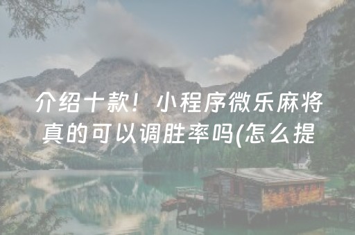 介绍十款！小程序微乐麻将真的可以调胜率吗(怎么提高胜率)