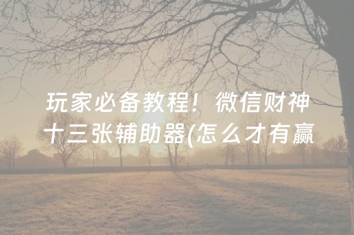 玩家必备教程！微信财神十三张辅助器(怎么才有赢的几率)