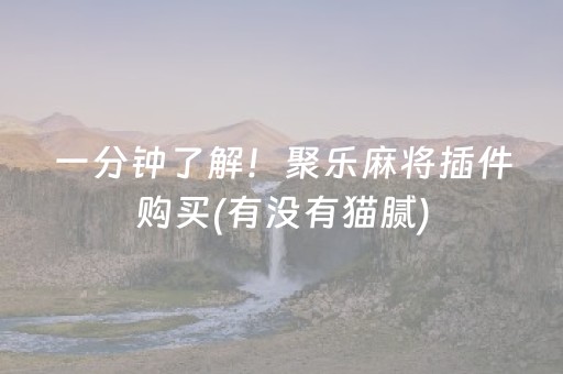 一分钟了解！聚乐麻将插件购买(有没有猫腻)