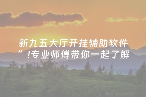 新九五大厅开挂辅助软件”!专业师傅带你一起了解（详细教程）-知乎