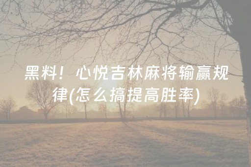 黑料！心悦吉林麻将输赢规律(怎么搞提高胜率)