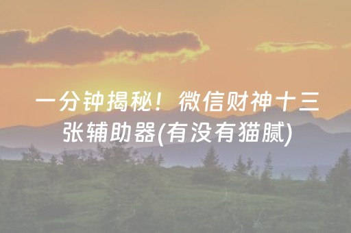 一分钟揭秘！微信财神十三张辅助器(有没有猫腻)