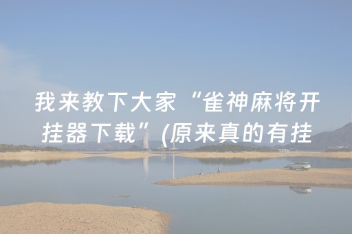 我来教下大家“雀神麻将开挂器下载”(原来真的有挂)-知乎