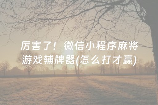 厉害了！微信小程序麻将游戏辅牌器(怎么打才赢)