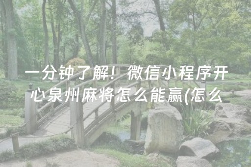 一分钟了解！微信小程序开心泉州麻将怎么能赢(怎么老输必备神器)