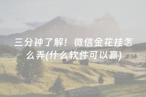 三分钟了解！微信金花挂怎么弄(什么软件可以赢)