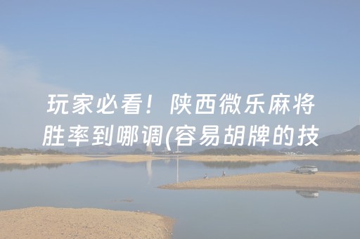 玩家必看！陕西微乐麻将胜率到哪调(容易胡牌的技巧)