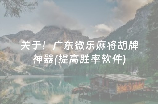 关于！广东微乐麻将胡牌神器(提高胜率软件)