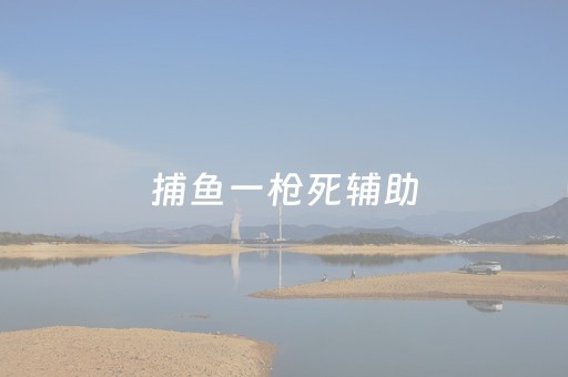 捕鱼一枪死辅助（捕鱼一枪打死辅助）