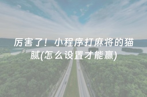 厉害了！小程序打麻将的猫腻(怎么设置才能赢)