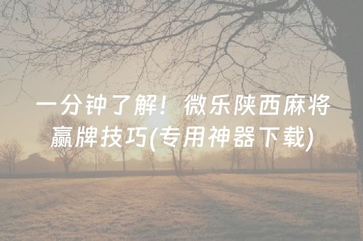 一分钟了解！微乐陕西麻将赢牌技巧(专用神器下载)