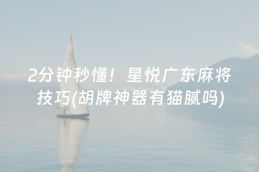 2分钟秒懂！星悦广东麻将技巧(胡牌神器有猫腻吗)