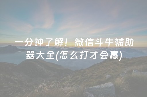 一分钟了解！微信斗牛辅助器大全(怎么打才会赢)