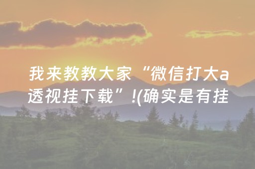 我来教教大家“微信打大a透视挂下载”!(确实是有挂)-知乎