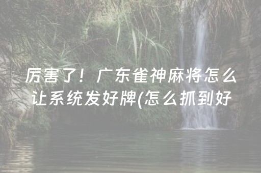 厉害了！广东雀神麻将怎么让系统发好牌(怎么抓到好牌)