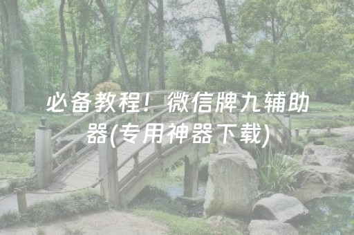必备教程！微信牌九辅助器(专用神器下载)