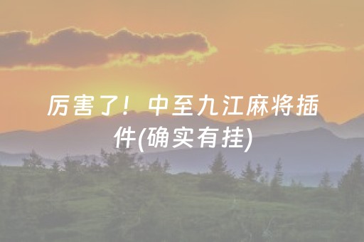 厉害了！中至九江麻将插件(确实有挂)