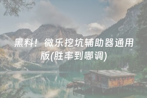 黑料！微乐挖坑辅助器通用版(胜率到哪调)