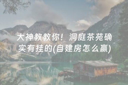 大神教教你！洞庭茶苑确实有挂的(自建房怎么赢)