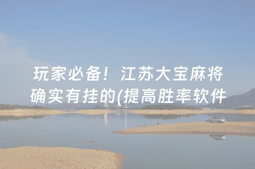 玩家必备！江苏大宝麻将确实有挂的(提高胜率软件)