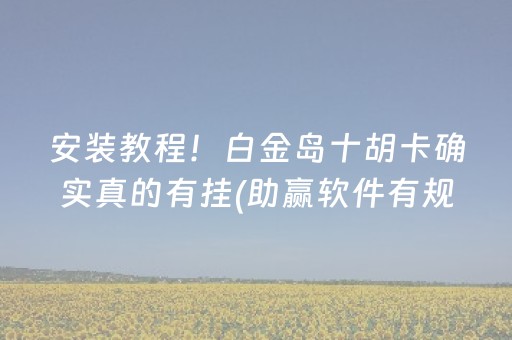 安装教程！白金岛十胡卡确实真的有挂(助赢软件有规律吗)