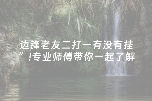 边锋老友二打一有没有挂”!专业师傅带你一起了解（详细教程）-知乎