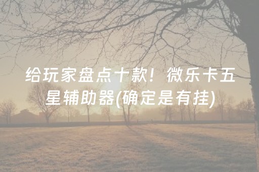 给玩家盘点十款！微乐卡五星辅助器(确定是有挂)