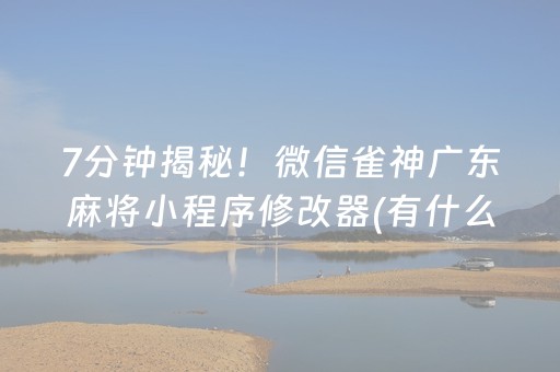 7分钟揭秘！微信雀神广东麻将小程序修改器(有什么规律)